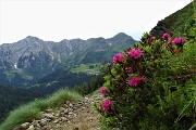 Anello di Cima Lemma e Pizzo Scala dalla Baita del Camoscio il 1 luglio 2019- FOTOGALLERY